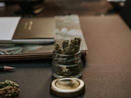 Novo estudo relaciona a maconha legalizada com a diminuição das reivindicações dos trabalhadores. Nós explicamos e fornecemos informações importantes sobre a maconha e sua reivindicação.