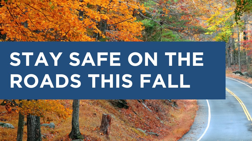 Drive Safe: Road Safety Tips for Autumn