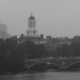 Harvard